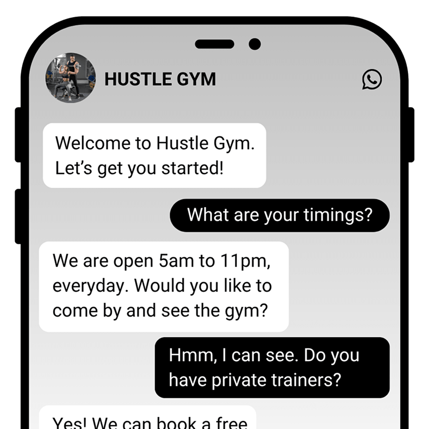 Website assistant preview