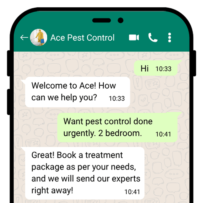 Website assistant preview