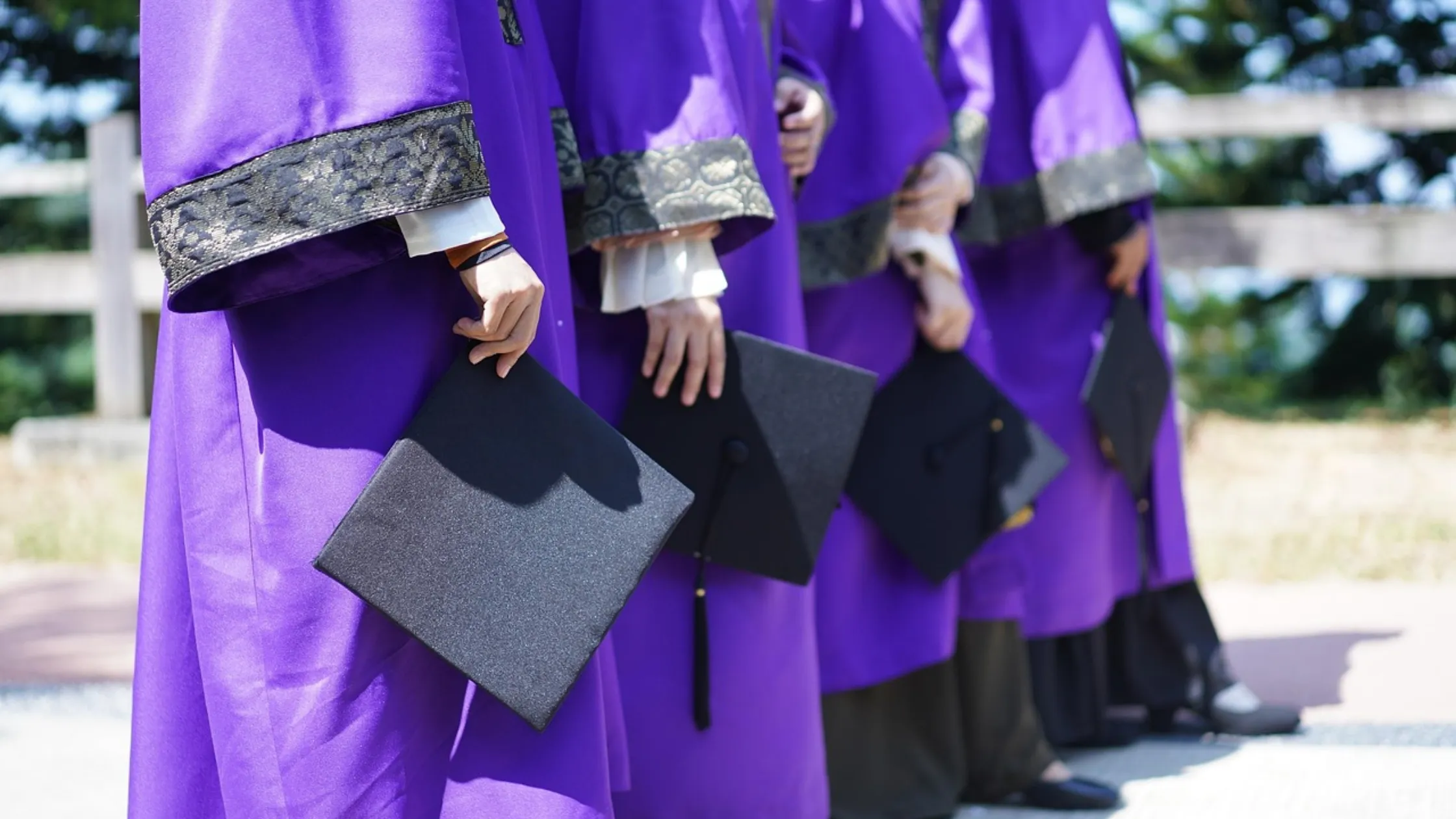 Swiss Government Excellence Scholarships: A Complete Guide