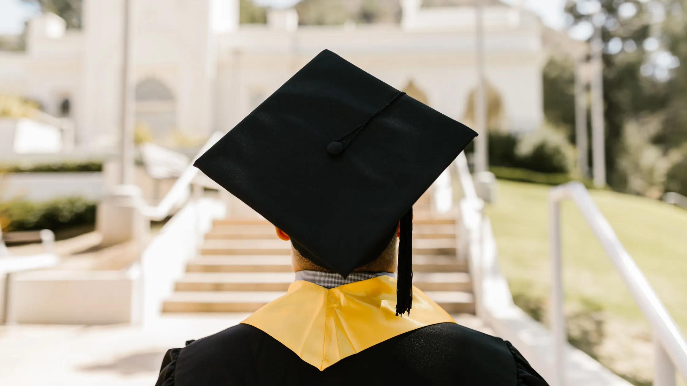 The Commonwealth Distance Learning Scholarship: A Complete Guide