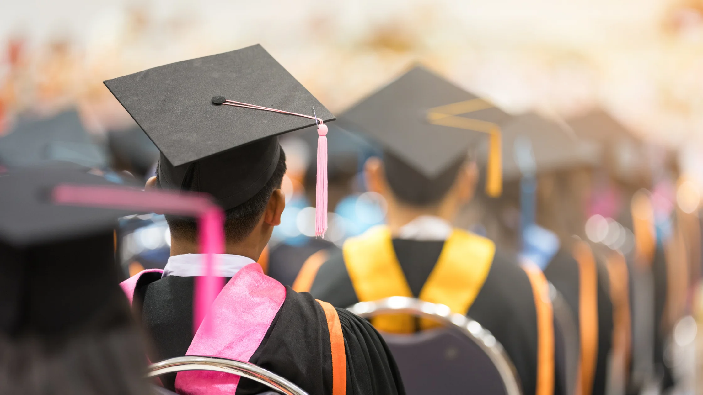 Manaaki New Zealand Scholarships: A Complete Guide for Prospective Applicants